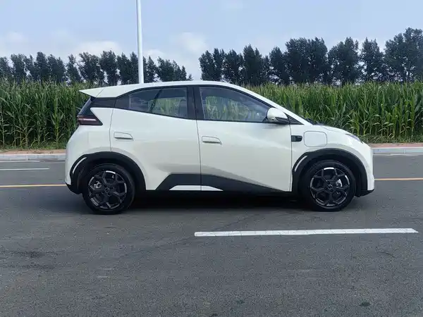 BYD Seagull 2025