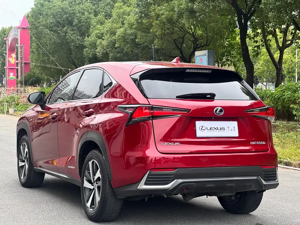 Lexus NX 2018 — фото 11