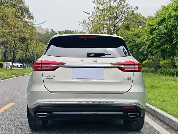 Hongqi HS5 2020