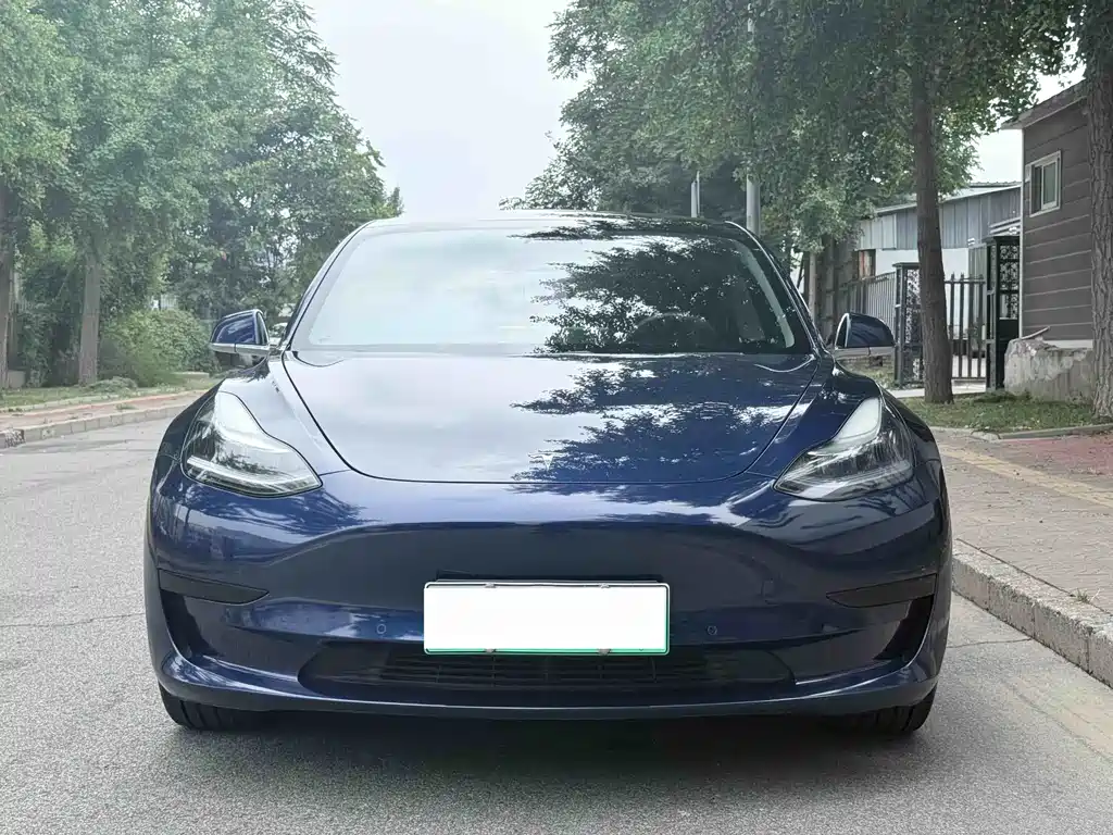 Tesla Model 3 2020 — фото 2