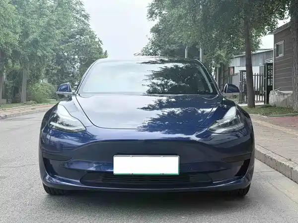 Tesla Model 3 2020