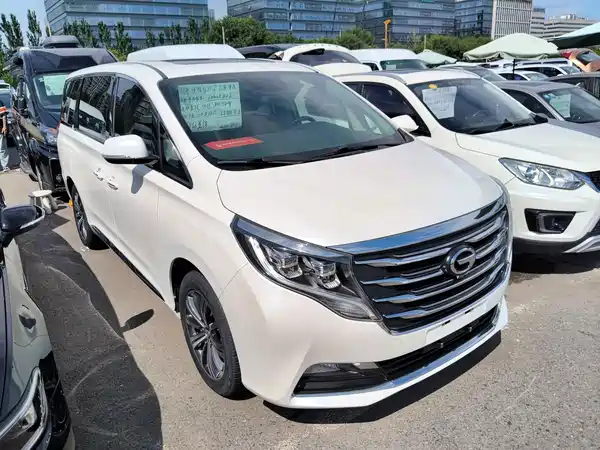 GAC Trumpchi M8 2019