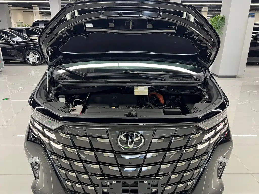 Toyota Alphard 2025 — фото 25