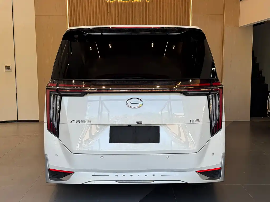 GAC Motor Trumpchi M8 2023 — фото 18