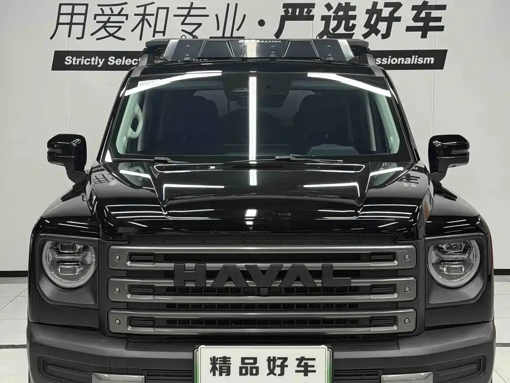 Haval Menglong New Energy 2024 — фото 2