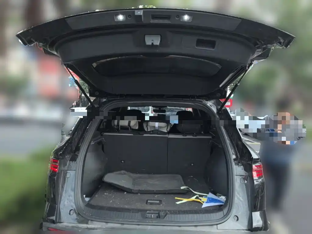 BYD Pro New Energy 2024 — фото 10