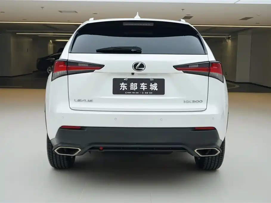 Lexus NX 2019