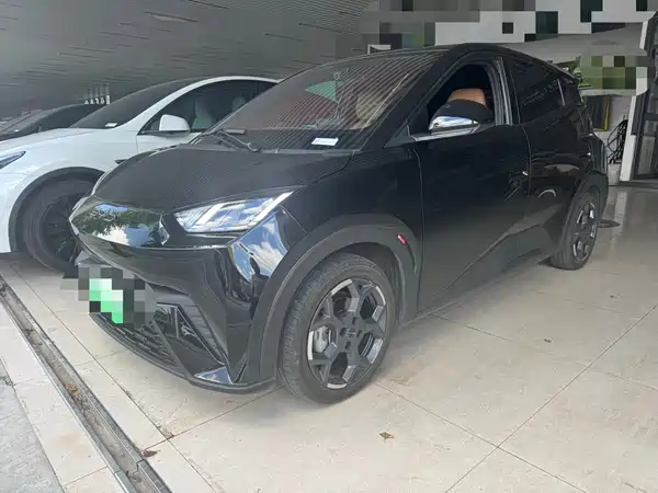 BYD Seagull 2024