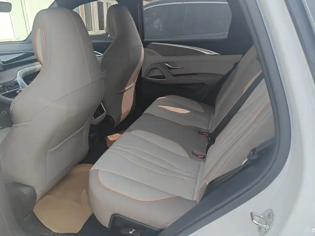 BYD Song Pro New Energy 2025 — фото 13