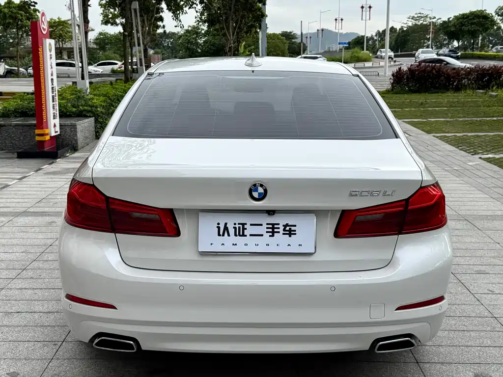 BMW 5 Series 2017 — фото 10
