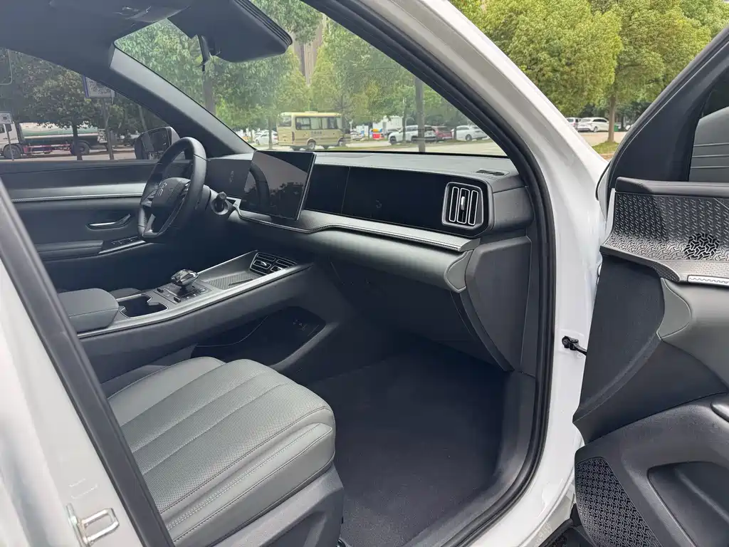 BYD Song Pro New Energy 2025 — фото 10