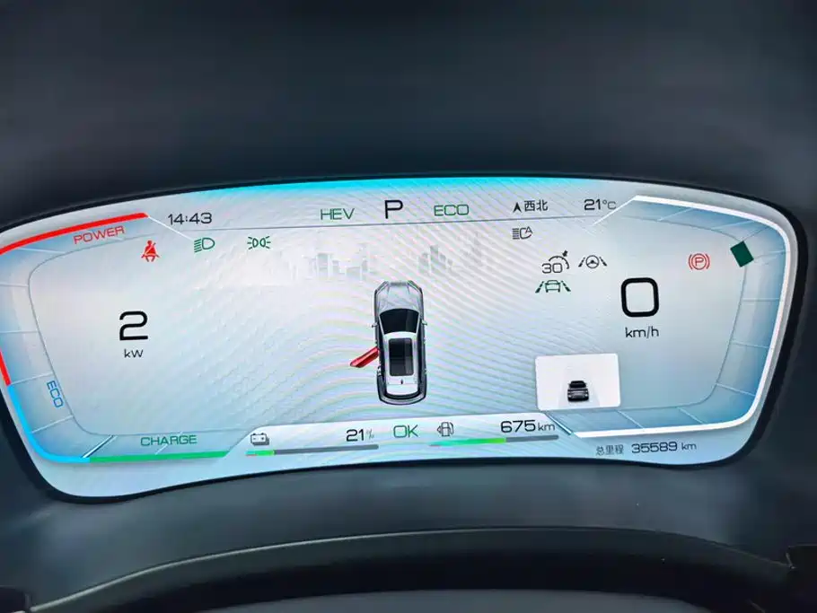 BYD Song PLUS New Energy 2024 — фото 14