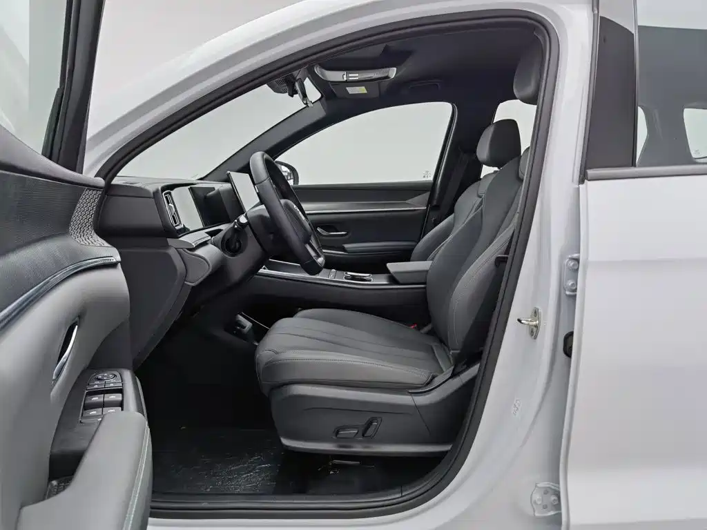 BYD Song Pro New Energy 2025 — фото 10