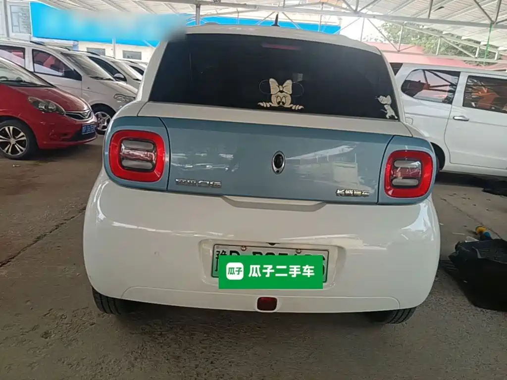 Ora Black Cat 2021