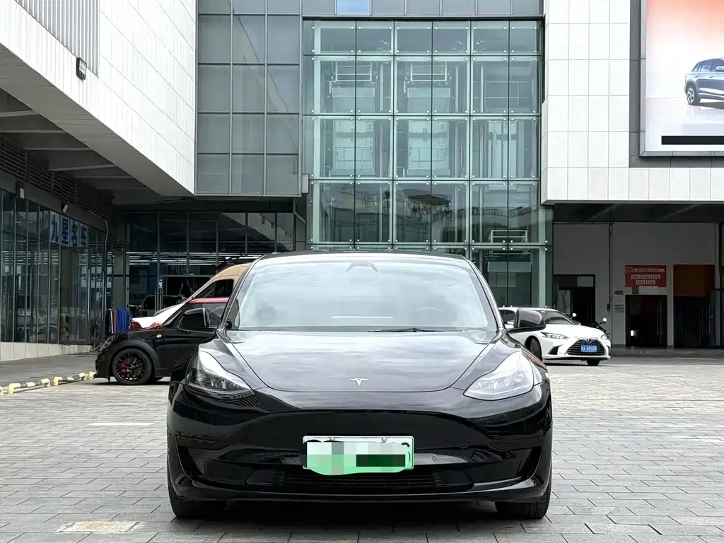 Tesla Model 3 2021 — фото 2