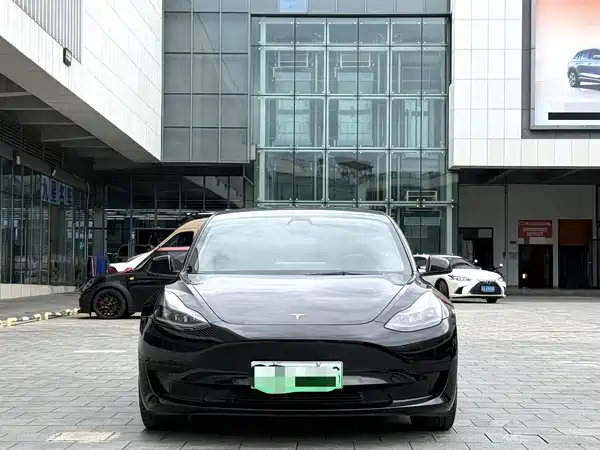 Tesla Model 3 2021