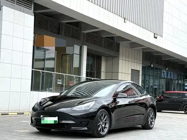 Tesla Model 3 2021