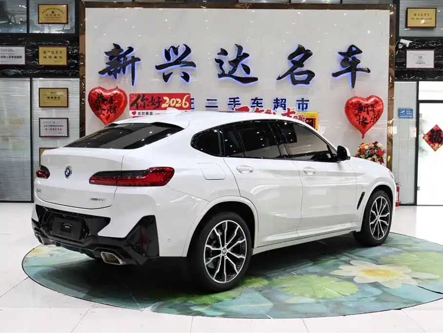 BMW X4 2023 — фото 5