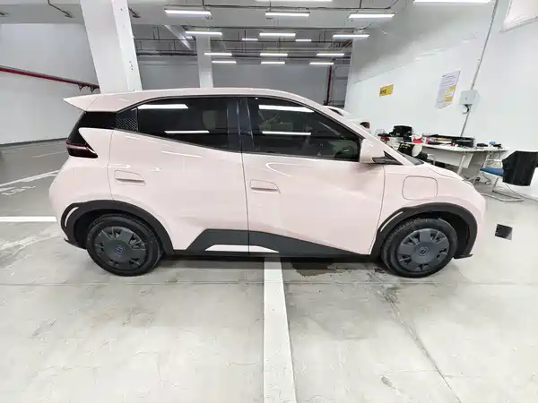 BYD Seagull 2024