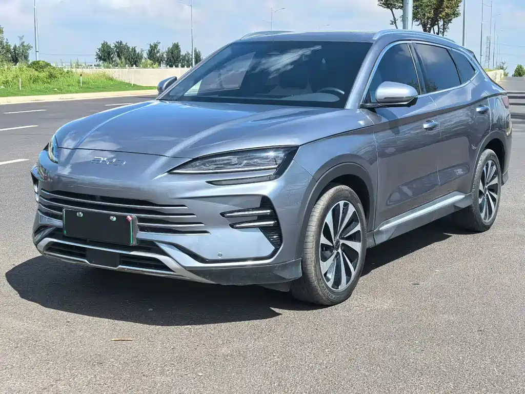 BYD Song PLUS New Energy 2024 — фото 1