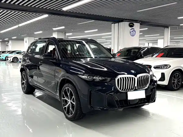 BMW X5 2025
