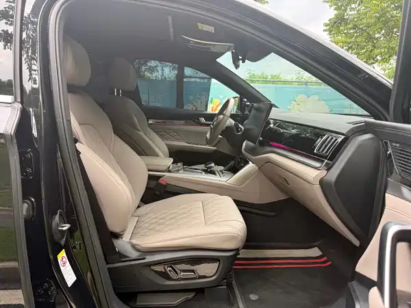 BYD Tang New Energy 2025