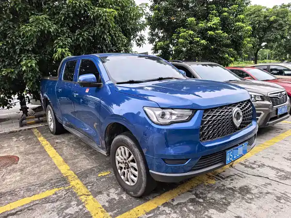 Great Wall Poer 2020