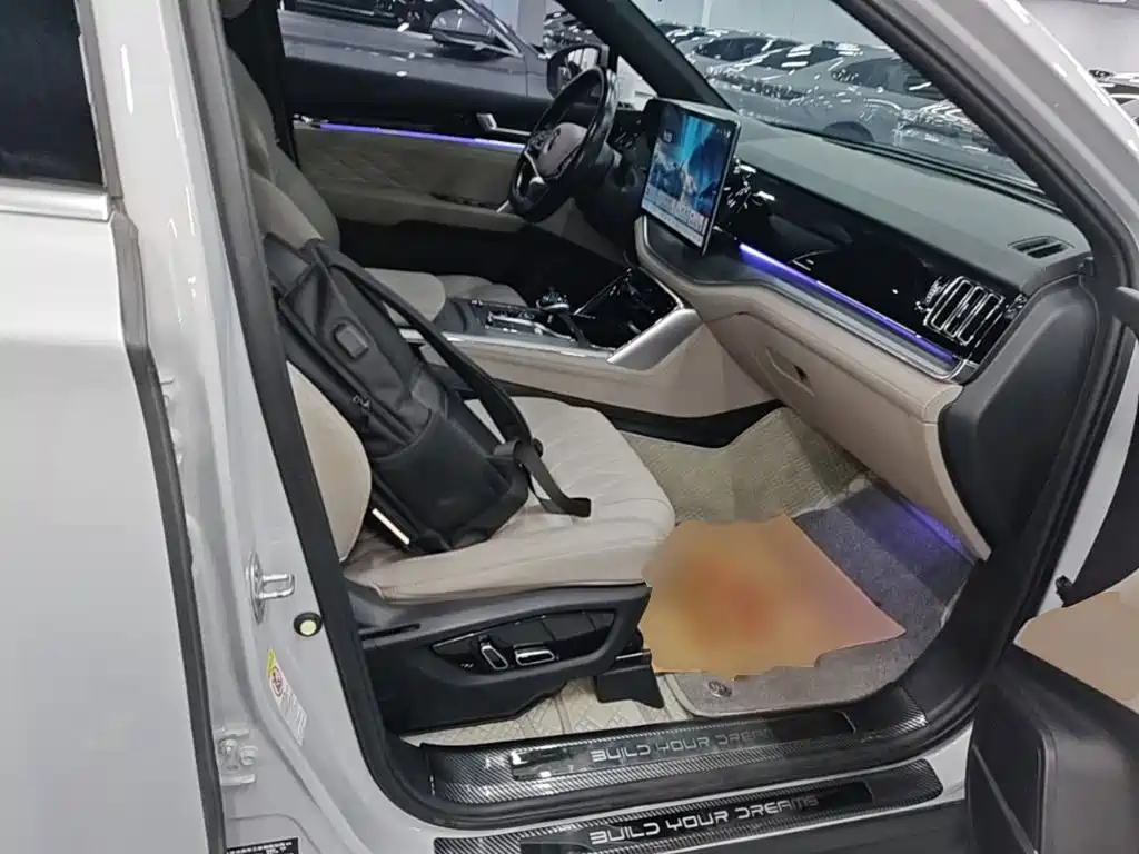 BYD Tang New Energy 2024 — фото 20
