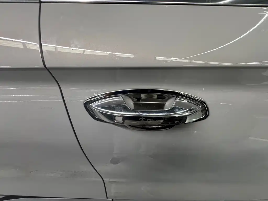 BYD PLUS New Energy 2024 — фото 20