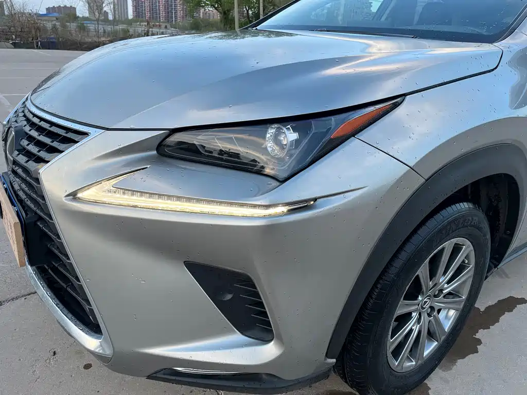 Lexus NX 2018 — фото 11