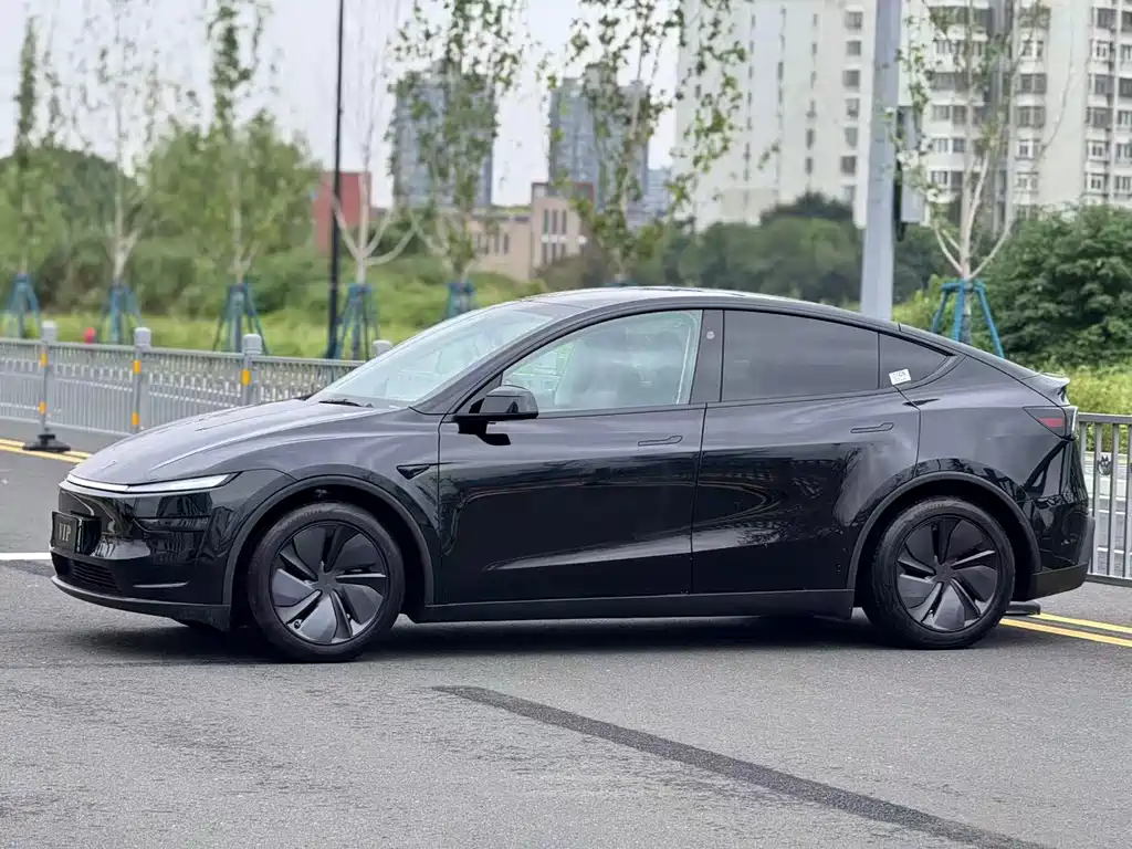 Tesla Model Y 2025 — фото 10
