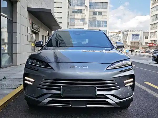 BYD Song PLUS New Energy 2024