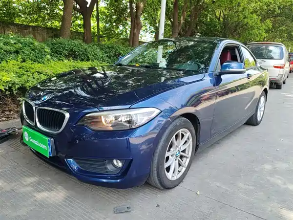 BMW 2 Series 2015