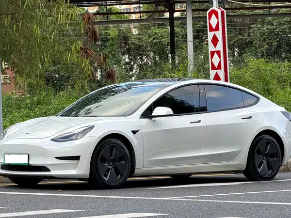 Tesla Model 3 2021