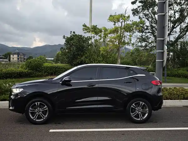 Wey VV5 2019