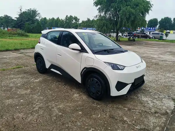 BYD Seagull 2026