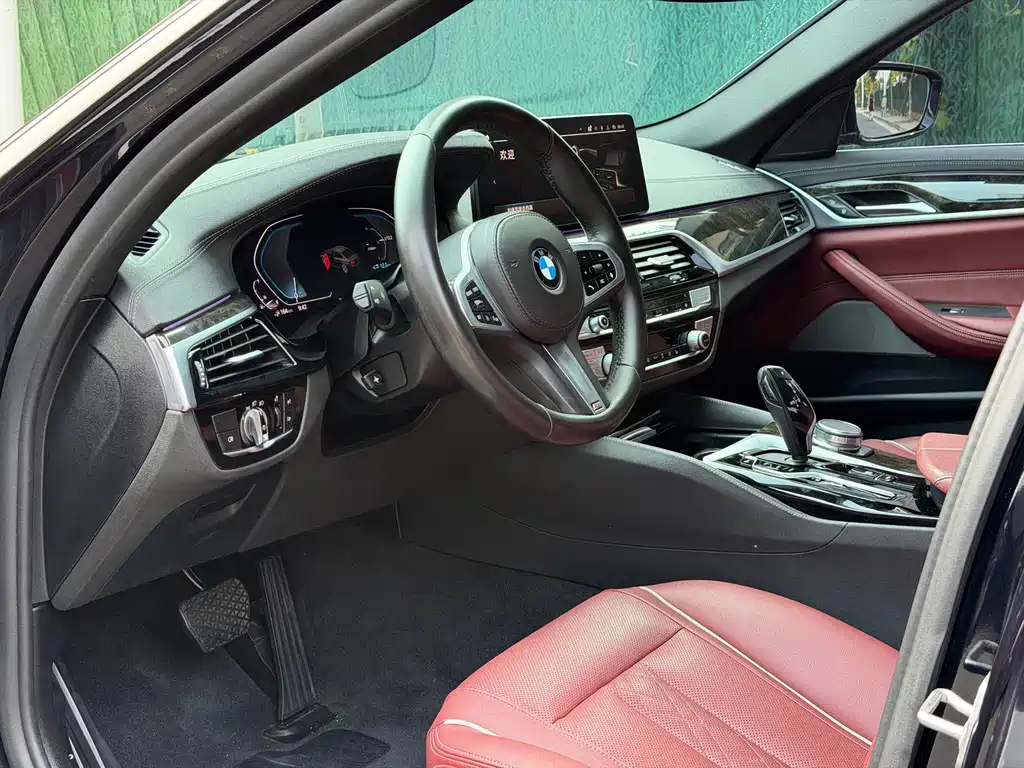 BMW 5 Series New Energy 2021