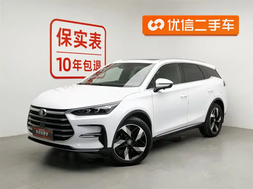 BYD Tang New Energy 2023 — фото 1