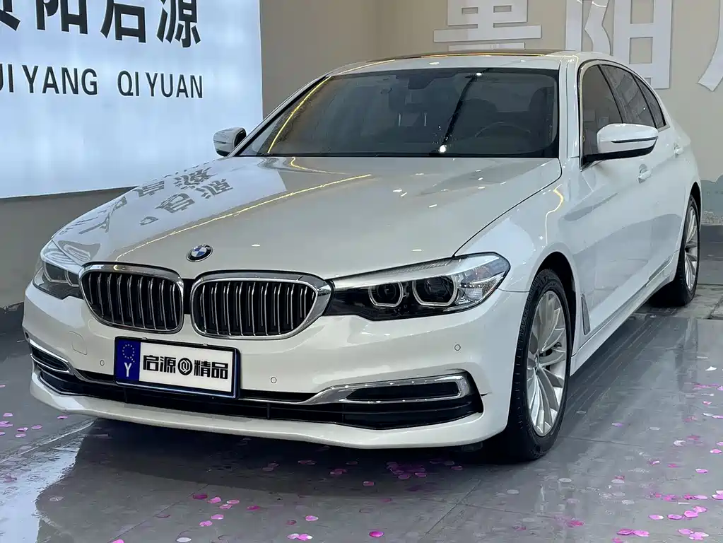 BMW 5 Series 2019