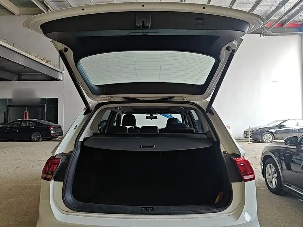 Volkswagen Tiguan L 2024 — фото 19