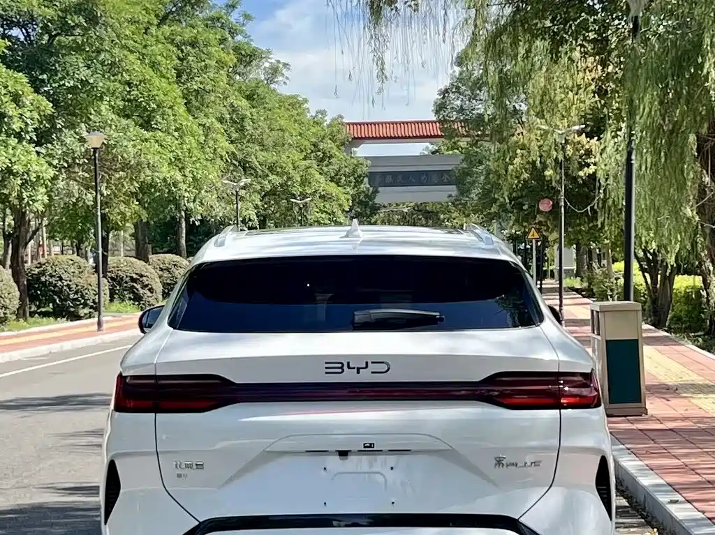 BYD Song PLUS New Energy 2025 — фото 4