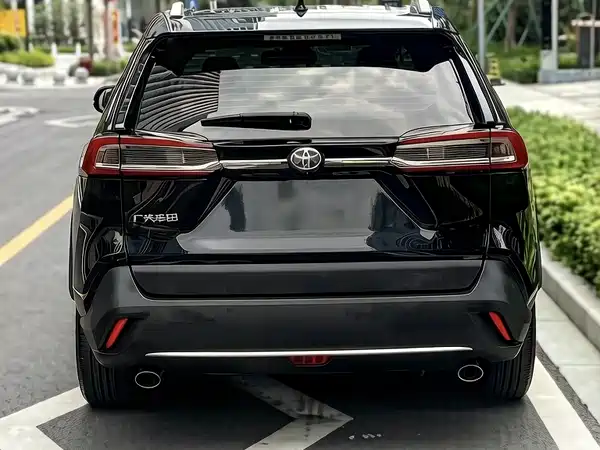 Toyota Wildlander 2022