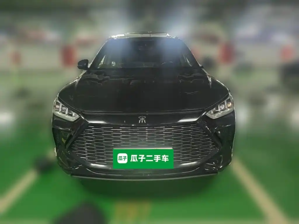 BYD Song PLUS New Energy 2022 — фото 23