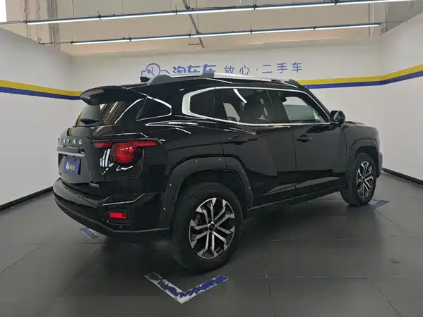 Haval Dog PLUS 2024