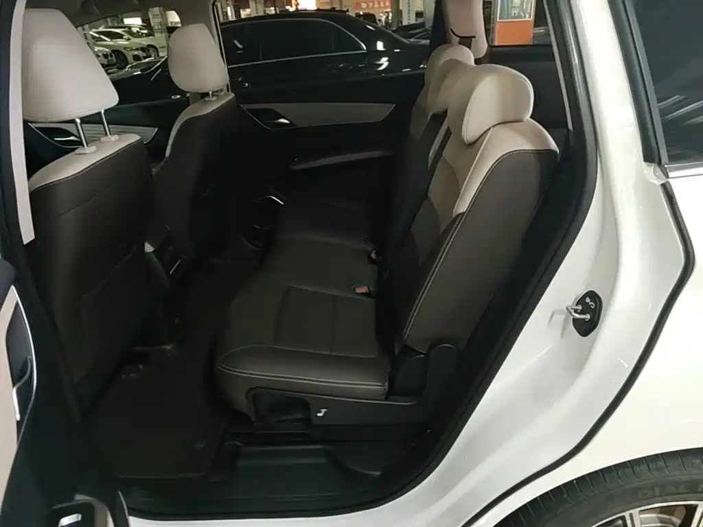 BYD Song MAX New Energy 2023 — фото 17
