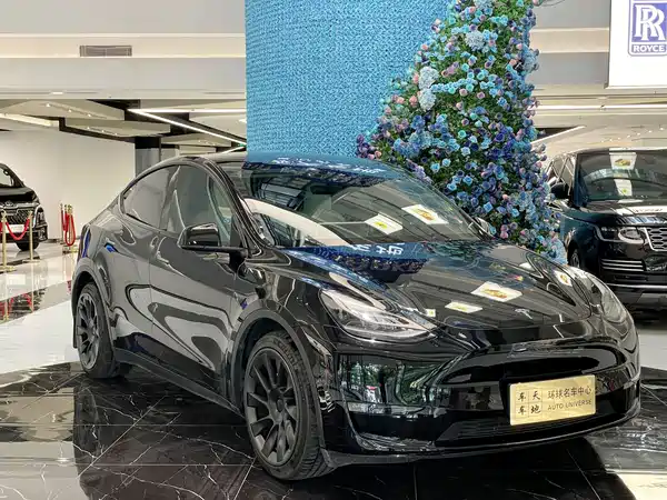 Tesla Model Y 2021