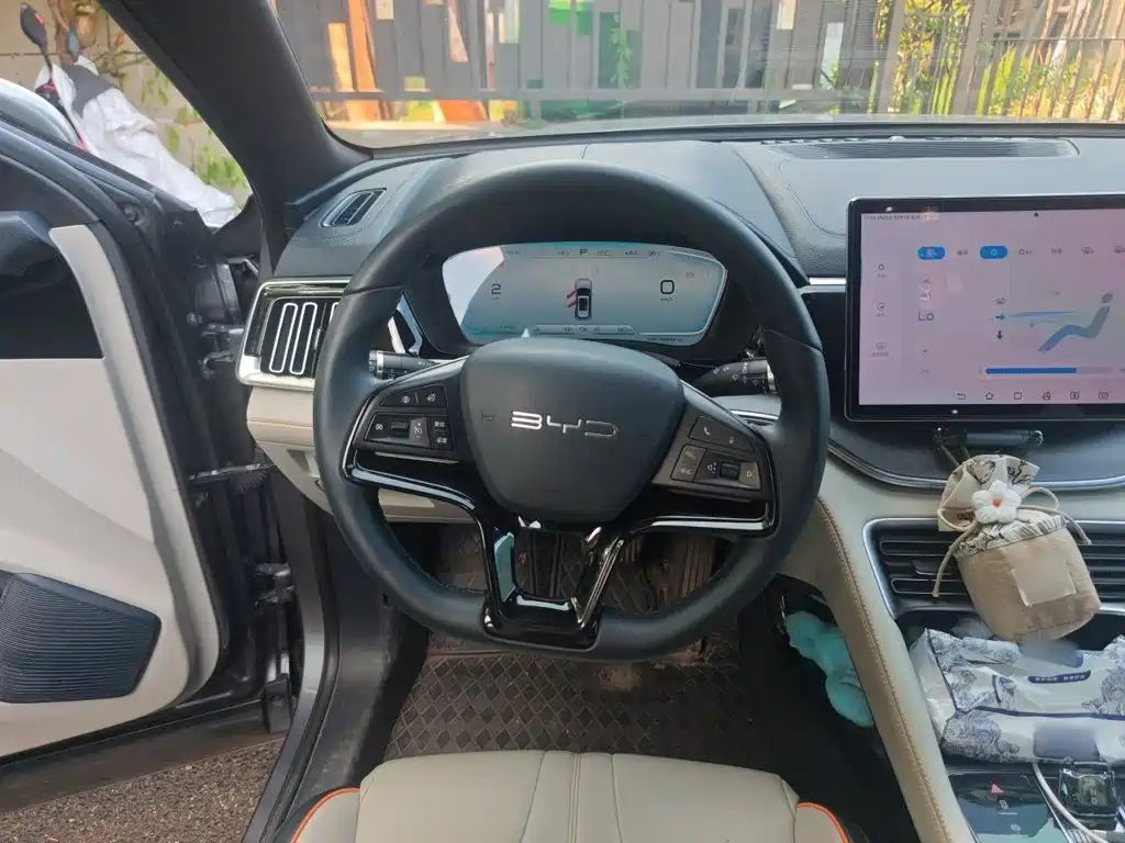 BYD Song PLUS New Energy 2024 — фото 3