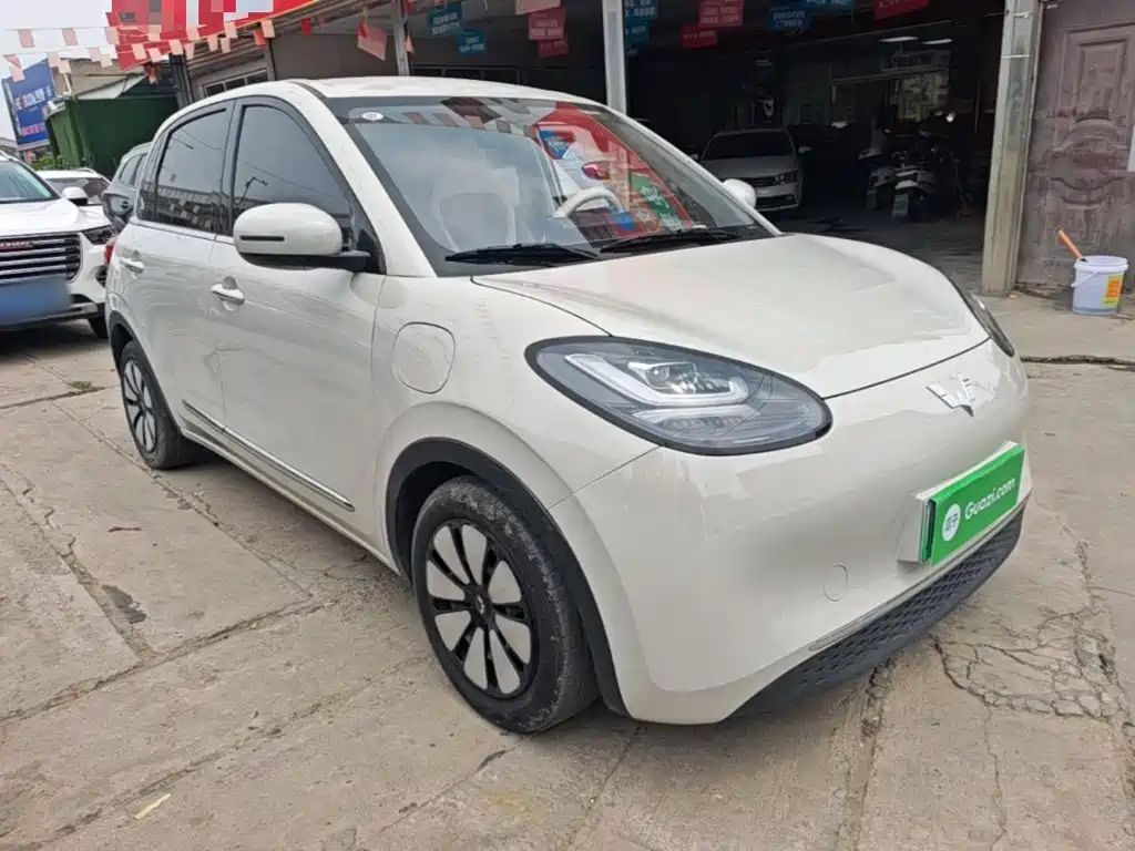 Wuling Bingo 2024