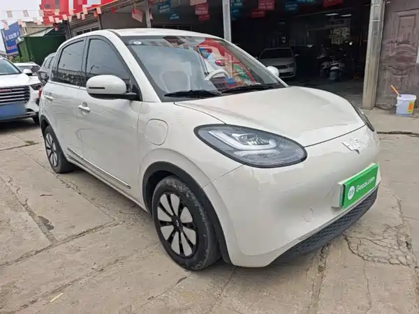 Wuling Bingo 2024