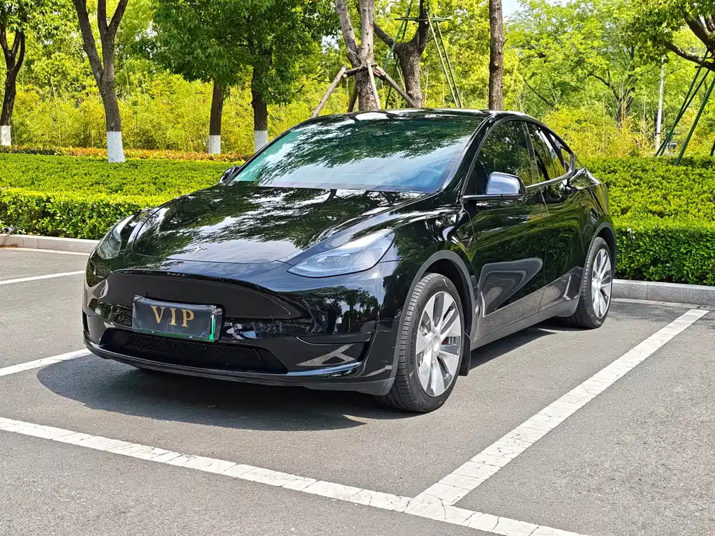 Tesla Model Y 2023 — фото 2